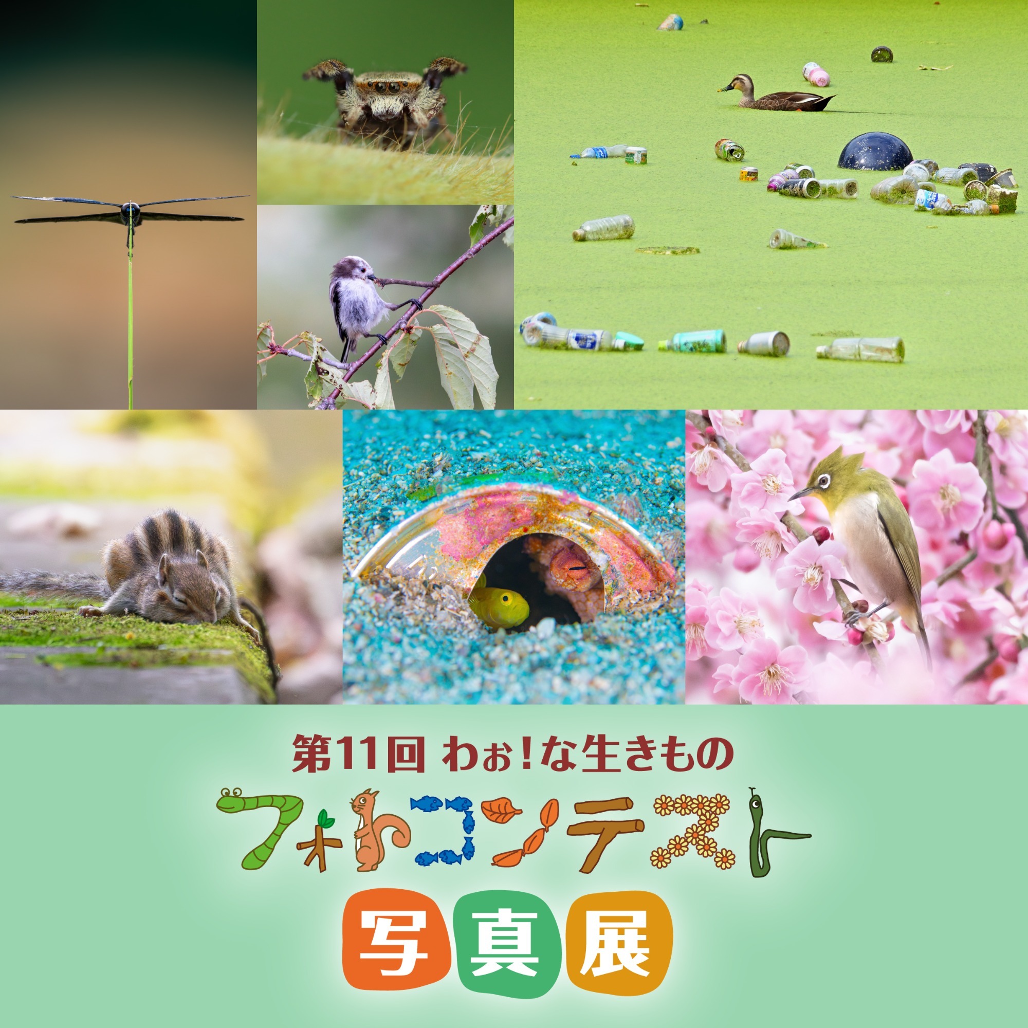 リフレッシュ理科教室