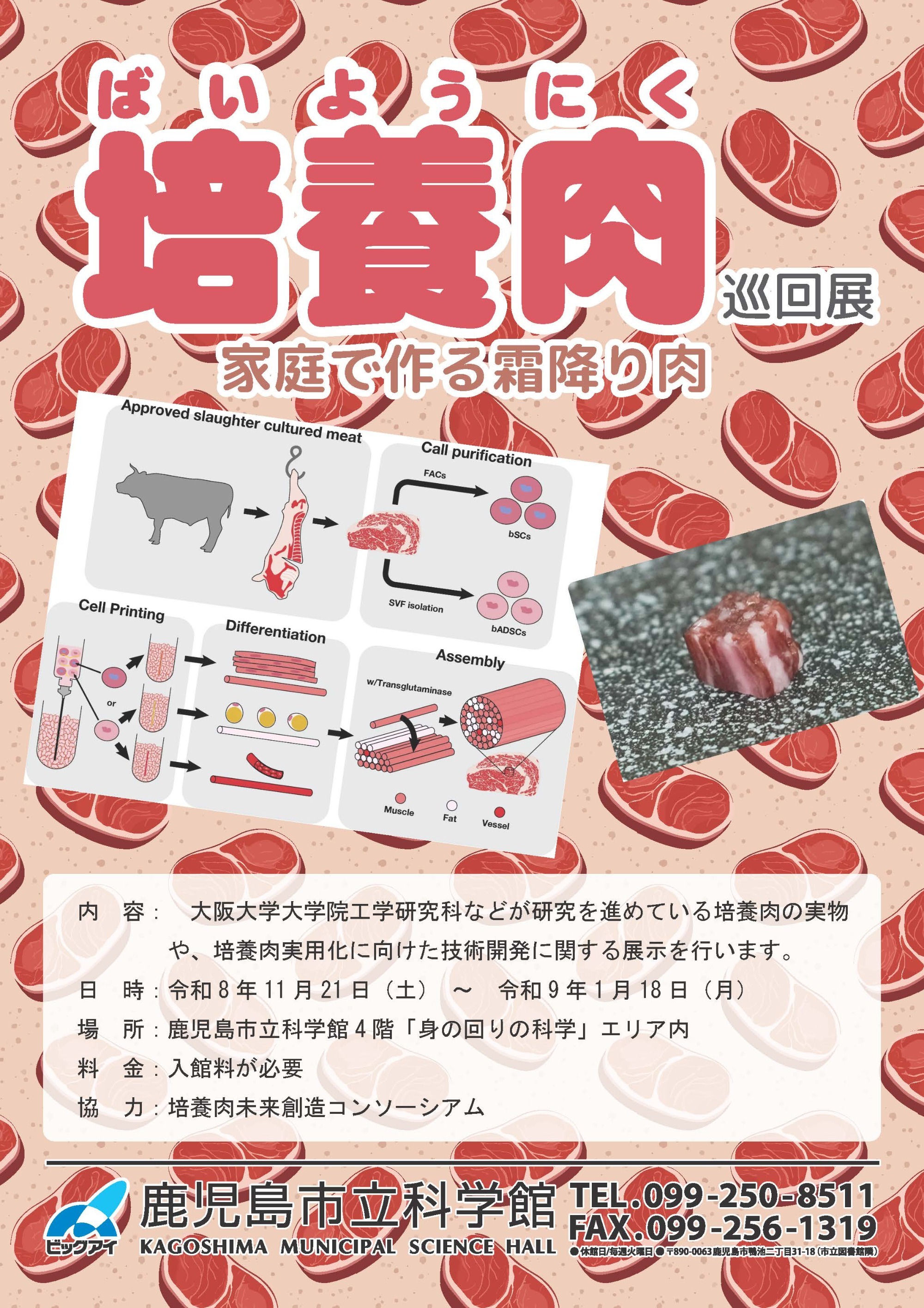 培養肉巡回展