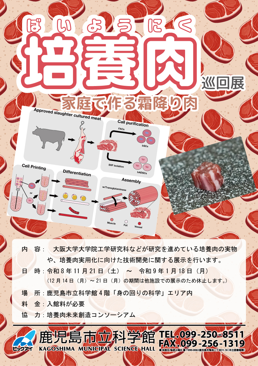 培養肉巡回展